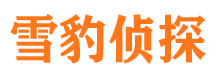 东山区找人公司